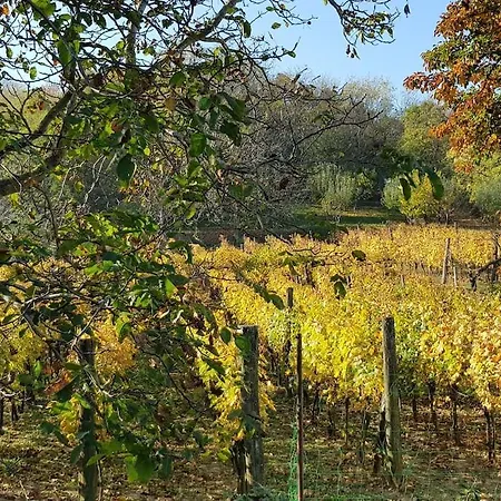 Sol Aquilonis Vendeghaz *