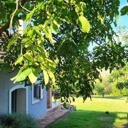 Sol Aquilonis Vendeghaz