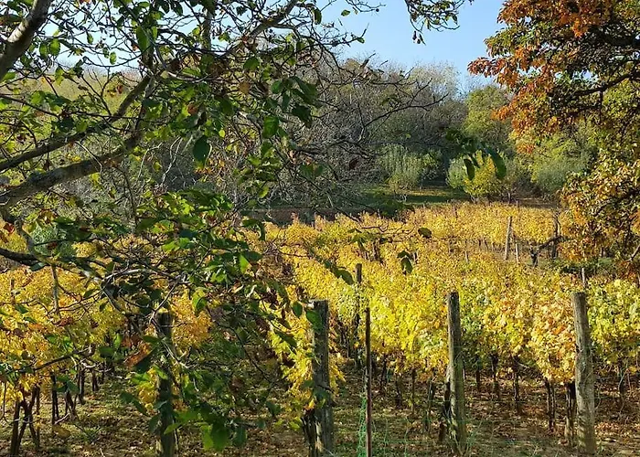 Sol Aquilonis Vendeghaz *