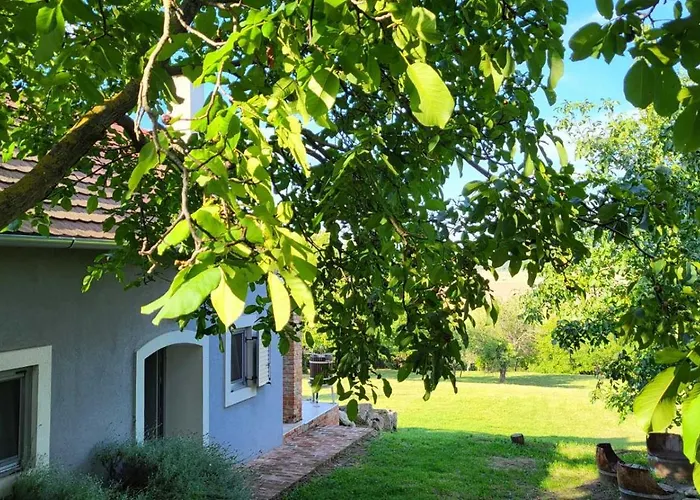 Sol Aquilonis Vendeghaz